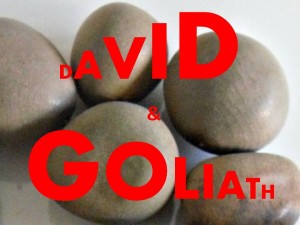 DAVID-GOLIATH[1]