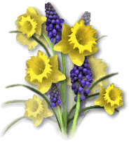 2-yellow-purple-flowers[1]