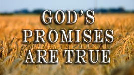 Gods-Promises-Are-True-270x152[1]
