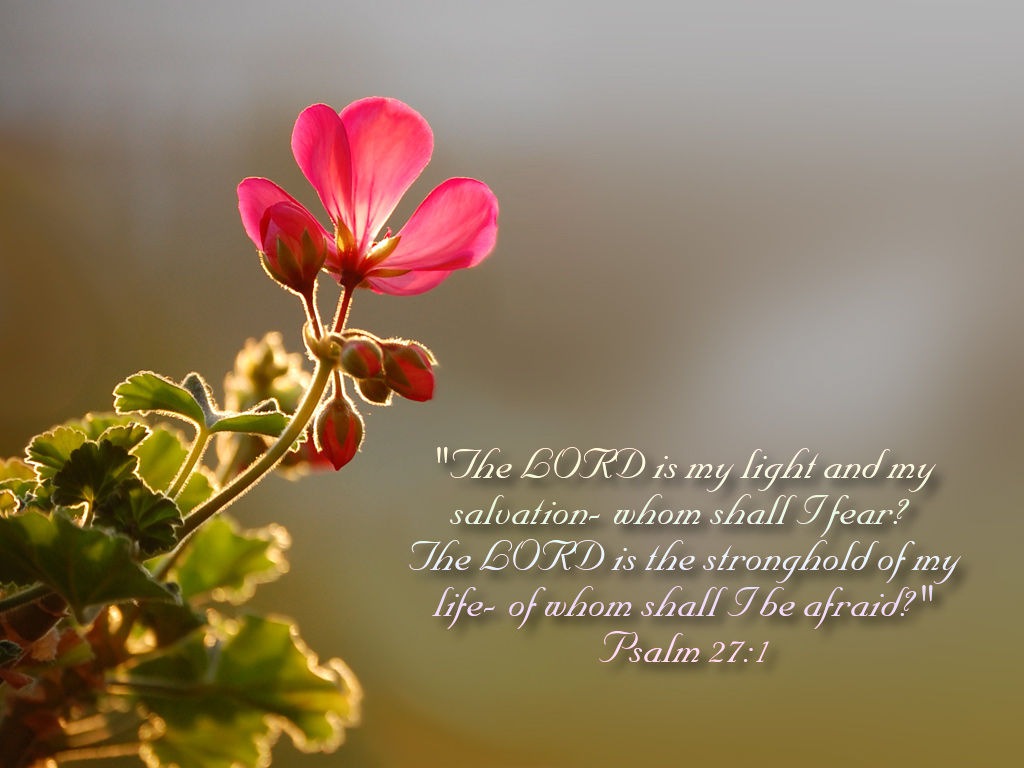 Psalm-27-verse-1-The-Lord-is-my-light[1]