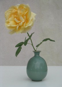 yellow_rose_vase[1]